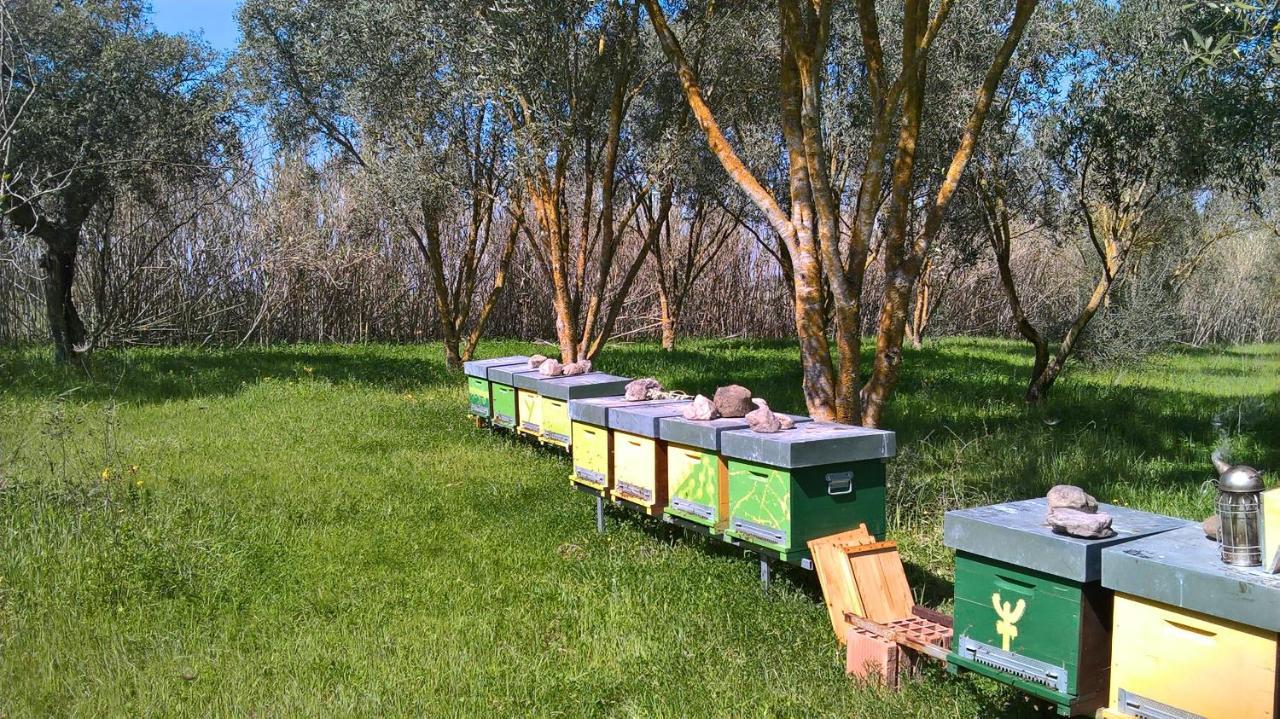 B&B Terra E Paglia Marrùbiu Buitenkant foto